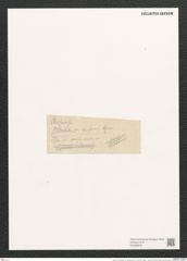 Navicula chersonensis var. apiformis Grun. (de-Toni-Nr.: Genus 1, Species 266) Zeichnungen Sammlung Grunow (NHMW-BOT-W0366978)